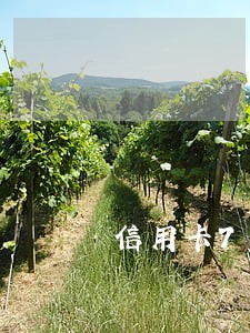 信用卡7次逾期 商贷 信用卡7次逾期 商贷